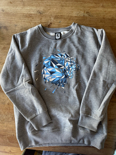 1860 jungen pullover grau - jungen,
